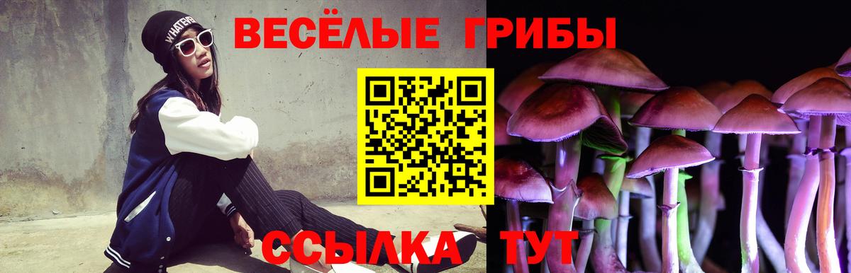 Отрадное  наркошоп  Вход с VPN  Галлюциногенные грибы мицелий 